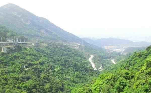 深圳馬巒山 2020馬巒山郊野公園攻略-深圳馬巒山郊野公園門(mén)票交通及天氣