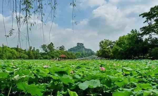 柳州紅豆 2020柳州市雀兒山公園開(kāi)放時(shí)間 怎么去-要門(mén)票嗎