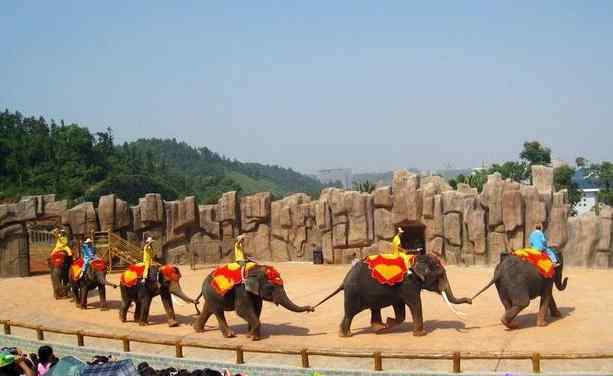 長沙生態(tài)動物園地址 2020長沙生態(tài)動物園旅游攻略 門票交通景點(diǎn)介紹