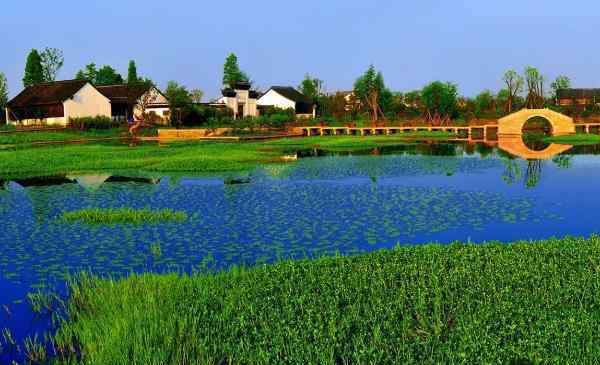 西溪濕地圖片 杭州西溪濕地公園圖片 實拍實景