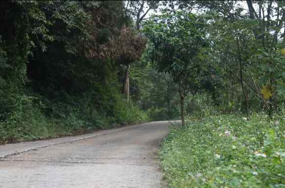 廣州火爐山森林公園 2020火爐山森林公園門(mén)票地址開(kāi)放時(shí)間及游玩攻略