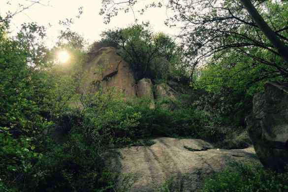 淄博魯山國(guó)家森林公園 2020魯山國(guó)家森林公園門(mén)票價(jià)格開(kāi)放時(shí)間及主要景點(diǎn)