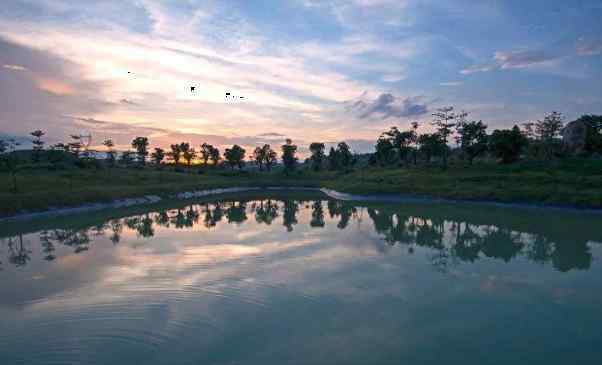 湛江森林公園 2020湛江三嶺山森林公園門(mén)票地址景區(qū)介紹及游玩攻略