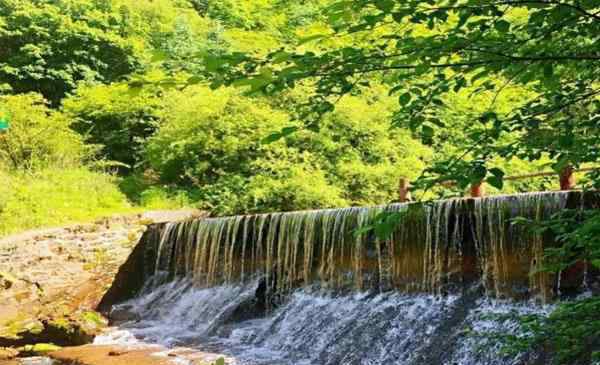 六盤山國家森林公園 2020寧夏六盤山國家森林公園門票開放時(shí)間 六盤山國家森林公園旅游攻略