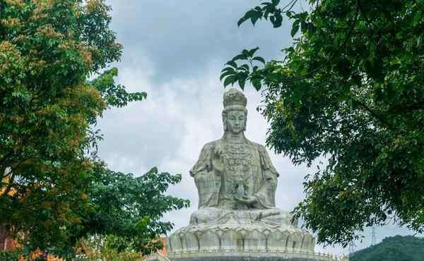 觀音山國(guó)家森林公園 2020廣東觀音山國(guó)家森林公園景點(diǎn)介紹和門(mén)票價(jià)格