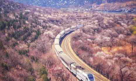 居庸關花海 居庸關花?；疖囋趺醋?居庸關花?；疖嚺臄z地點推薦