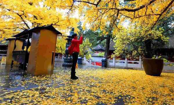 北京郊區(qū)自駕游 2019北京郊區(qū)自駕游游玩攻略