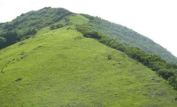 牛背梁國(guó)家森林公園 2020牛背梁國(guó)家森林公園旅游攻略 牛背梁國(guó)家森林公園門票交通天氣景點(diǎn)介紹