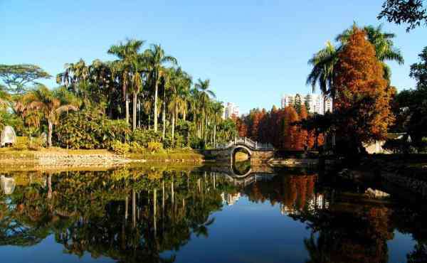 華南植物園 2020華南植物園開放時間交通及景點介紹