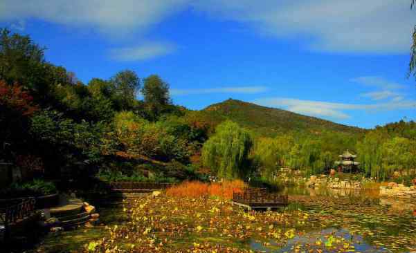 北宮國家森林公園 2020北宮國家森林公園開放時間簡介及景區(qū)介紹