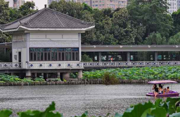 荔灣湖公園 2020廣州荔灣湖公園門票交通及景區(qū)介紹