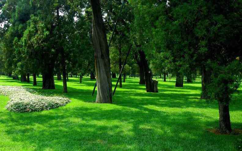 溫州情侶不雅視頻 公園不堪入目情侶視頻 不雅視頻曝光爭(zhēng)議巨大