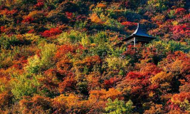 坡峰嶺 2020北京坡峰嶺游玩攻略 坡峰嶺風景區(qū)門票交通天氣及景點介紹