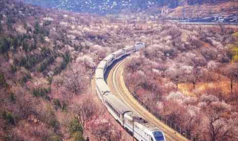 居庸關花海 居庸關花海火車怎么坐 居庸關花?；疖嚺臄z地點推薦