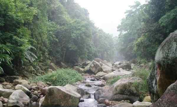 靈石山 2020福清靈石山國家森林公園旅游攻略 福清靈石山國家森林公園門票價(jià)格 福清靈石山國家森林公園天氣