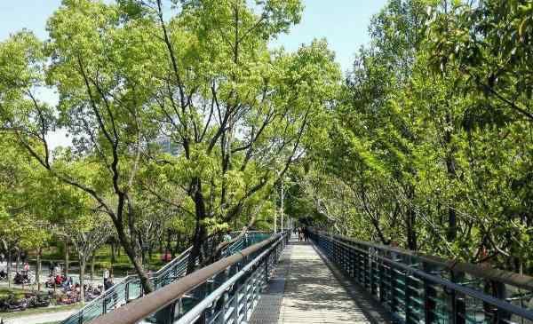 徐家匯公園 2020上海徐家匯公園簡(jiǎn)介門票地址交通及景區(qū)介紹