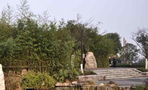 海潮寺 2020海潮寺森林公園旅游攻略 海潮寺森林公園有哪些景點(diǎn)