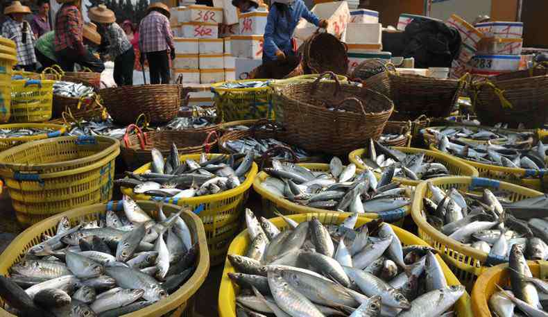 10大名貴海魚 什么海魚好吃又不貴 賣魚老板推薦買這幾種！