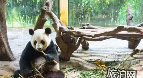 香江野生動物園門票 2018香江野生動物園門票價格+優(yōu)惠政策+注意事項