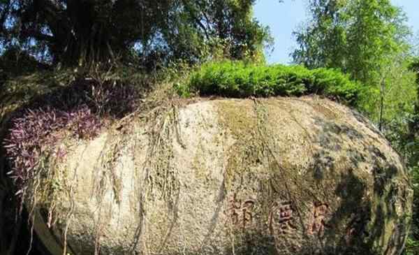 青芝山 2020青芝山旅游攻略 青芝山門票價格