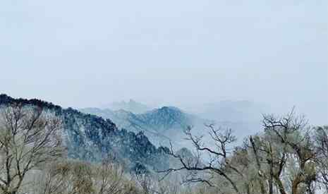 伏牛山滑雪場門票 欒川伏牛山滑雪場門票多少錢