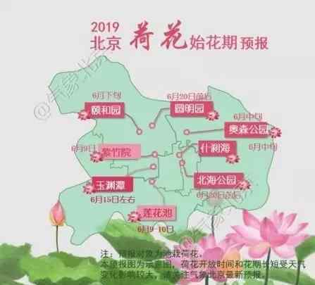 北京荷花什么時候開 2019北京荷花幾月開+地址+開放時間+門票