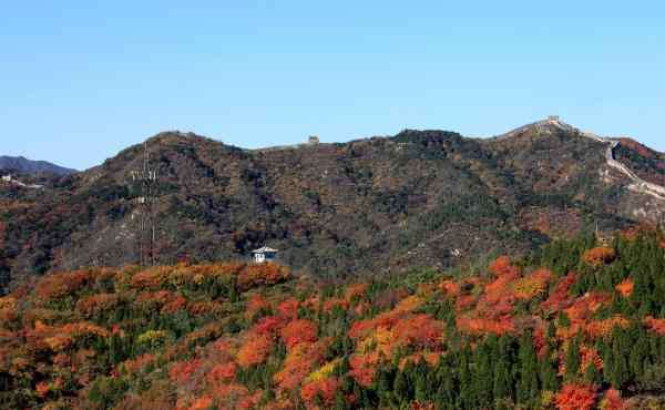 紅葉嶺 2020北京紅葉嶺門票最佳觀賞時間及游玩攻略