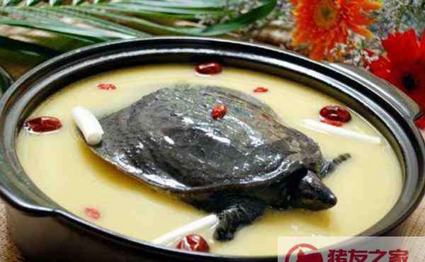 甲魚補(bǔ)腎湯 甲魚湯怎么做補(bǔ)腎 甲魚和什么燉最好