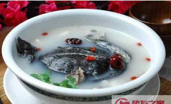 甲魚補(bǔ)腎湯 甲魚湯怎么做補(bǔ)腎 甲魚和什么燉最好