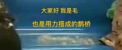 女孩地鐵坐下瞬間羽絨服"炸"了 隔壁小伙一身白毛 反應(yīng)令網(wǎng)友笑噴