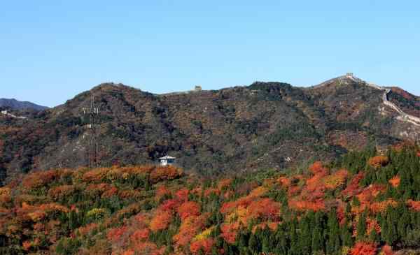 紅葉嶺 2020北京紅葉嶺門票最佳觀賞時間及游玩攻略