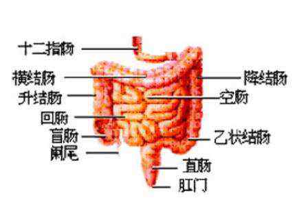 結(jié)腸腫瘤有良性的嗎 結(jié)腸腫瘤有良性的嗎，結(jié)腸腫瘤能治好嗎