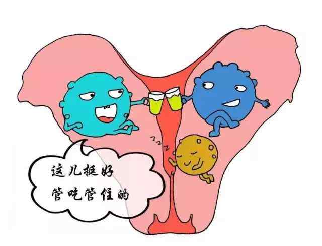 霉菌性陰炎哪個藥最好 康美炎抑菌片：得了霉菌性陰道炎用什么藥效果好?