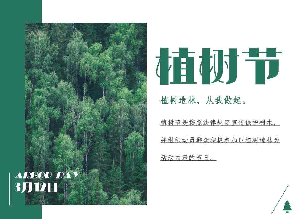 青島植樹 今天，青島人可以云植樹啦！