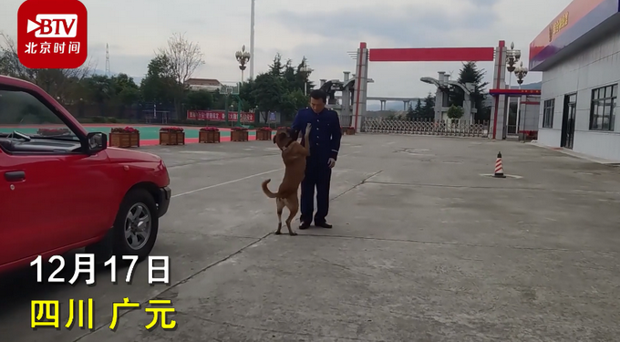 淚目！訓(xùn)導(dǎo)員離隊(duì)搜救犬緊緊追車不愿離去 一句“戰(zhàn)友再見(jiàn)”看哭網(wǎng)友