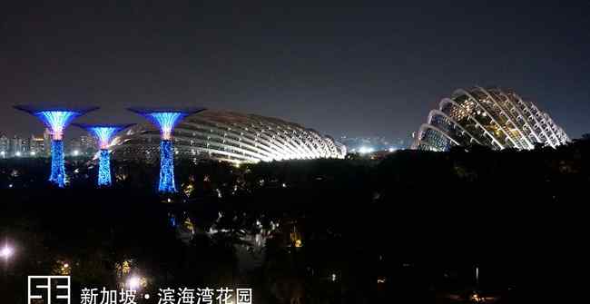 新加坡濱海灣花園 新加坡濱海灣花園Gardens by The Bay