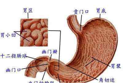 肚子疼的圖片 看懂一張圖 讓你懂得肚子疼對(duì)應(yīng)的各種疾病