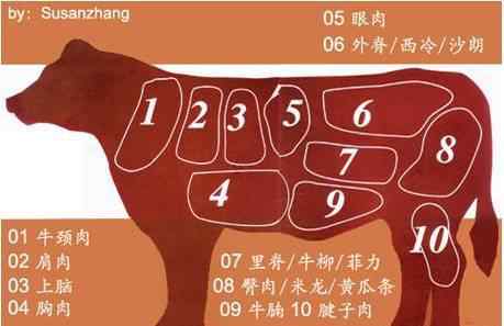 牛肉部位 最全牛肉部位名稱認(rèn)識(shí)和做法