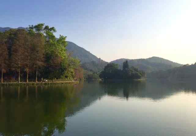 仙湖植物園門票 深圳仙湖植物園在哪里哪個(gè)區(qū)要門票嗎晚上可以進(jìn)去嗎好玩嗎