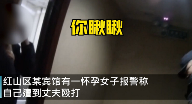 男子家暴孕妻被民警一招制服 處以治安拘留10日 真相到底是怎樣的？