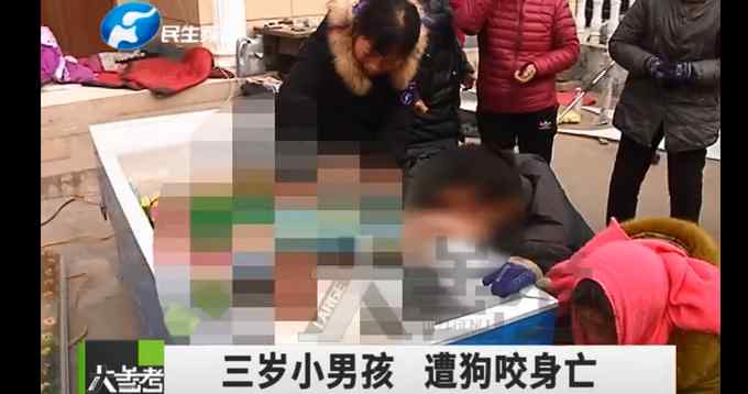 痛心！河南3歲男童被鄰居看門狗咬死 孩子父親回應(yīng)：狗很兇 常年不拴