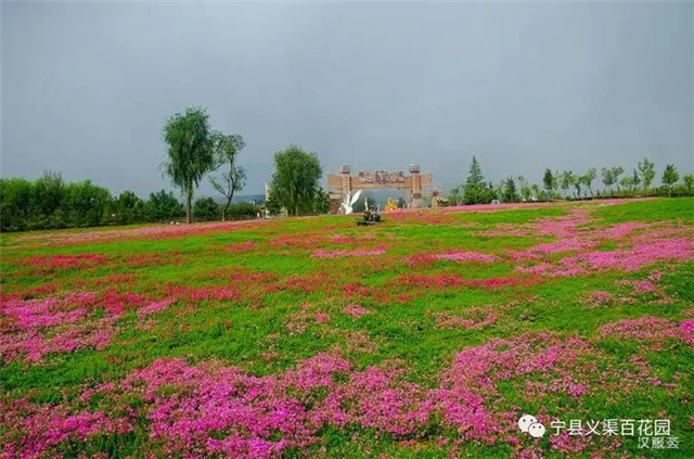 櫻桃在林地 撂荒山地變花園　群眾吃上“旅游飯”——記全國旅游示范村寧縣瓦斜鄉(xiāng)永吉村