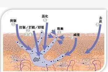 神經(jīng)酰胺 揭秘丨風(fēng)靡護(hù)膚界的煙酰胺和神經(jīng)酰胺到底是什么？