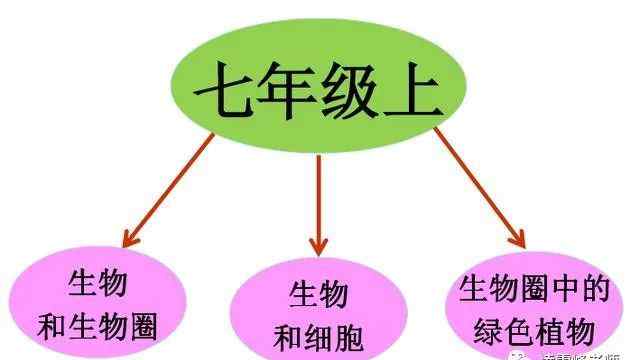 七上生物思維導(dǎo)圖大全 七年級生物上全冊知識梳理、思維導(dǎo)圖讓你輕松記憶！高清推薦