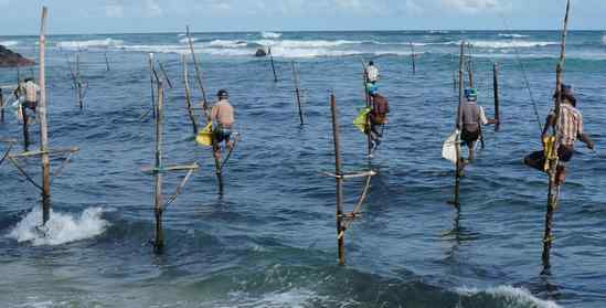 高蹺釣魚 世界上最牛釣魚方式：斯里蘭卡高蹺立釣