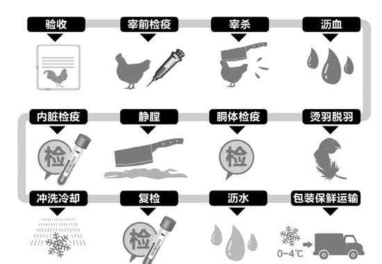 宰好的雞鴨能過安檢嗎 3家家禽定點屠宰廠將確定 每批殺白雞都要過“安檢”