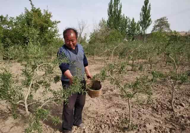 手工噴繪 高手在民間 手工噴繪繪出精彩人生