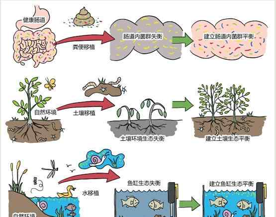 腸炎大便圖片 醫(yī)生用媽媽糞便治愈兒子腸炎 今后或有糞便膠囊