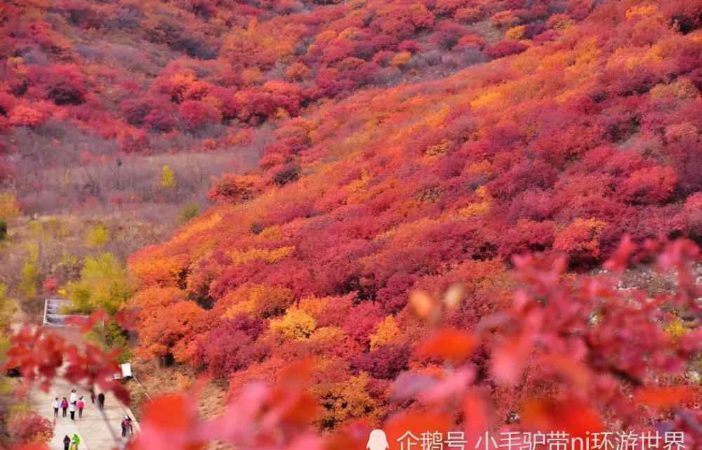 11月份旅游景點(diǎn)推薦 11月絕美旅游地推薦！錯(cuò)峰出游，這些地方已經(jīng)美成仙境