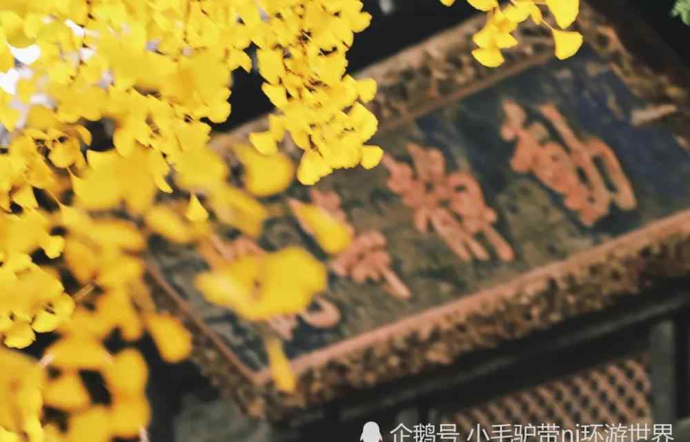 11月份旅游景點(diǎn)推薦 11月絕美旅游地推薦！錯(cuò)峰出游，這些地方已經(jīng)美成仙境